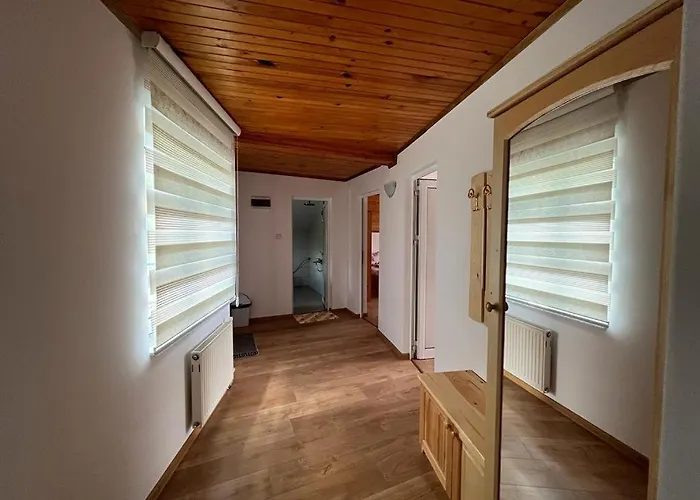 еделвайс サルニトゥサ